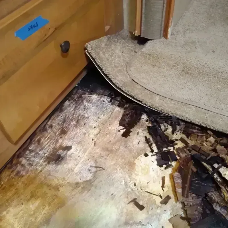 Best Wood Floor Water Damage Service in Marshfield, MO